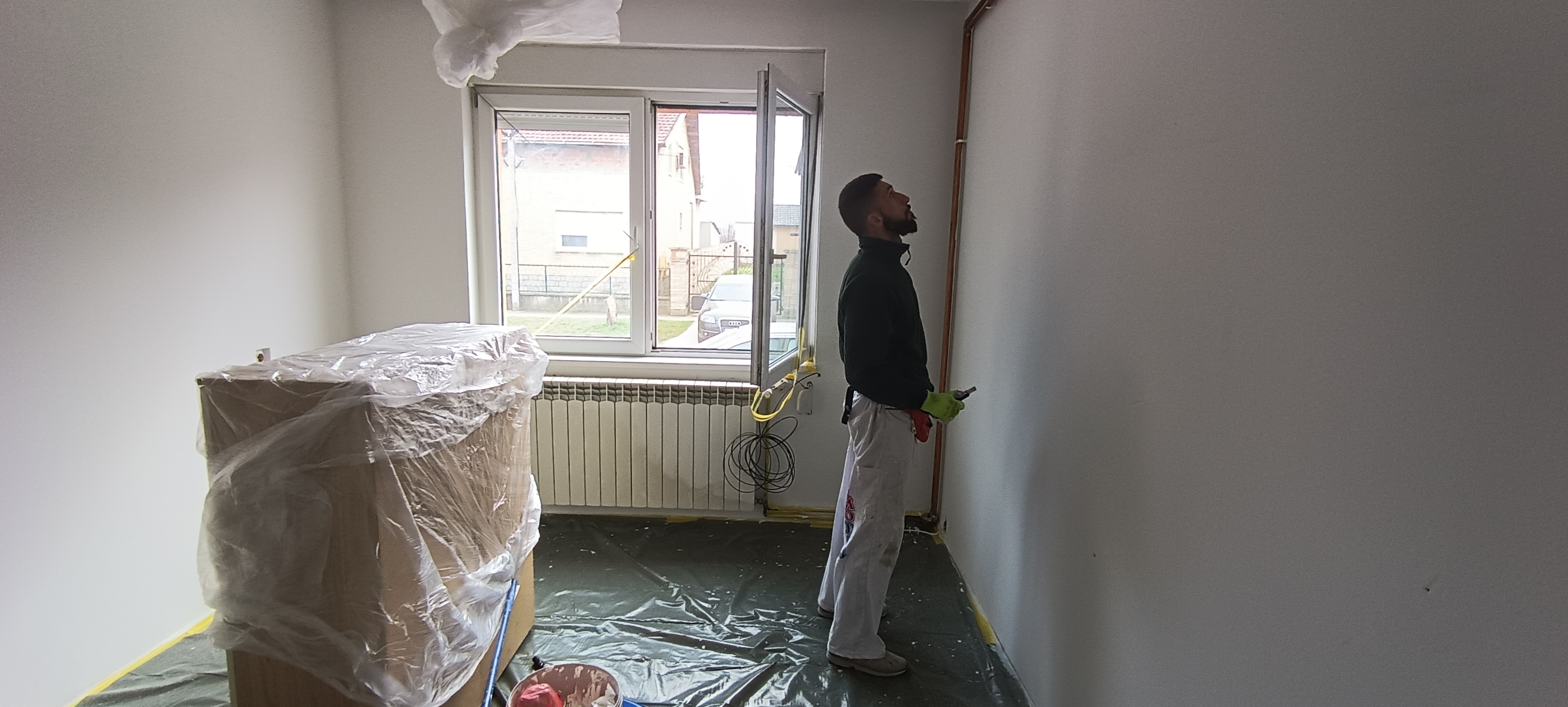 Moler Robi ProučAva Zid